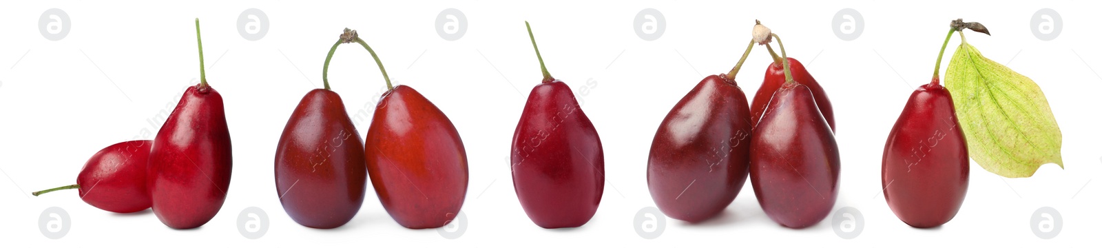 Image of Set of ripe red dogwood berries on white background, banner design