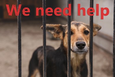 Image of Homeless dog in cage at animal shelter outdoors. Concept of volunteering