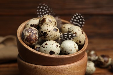 Photo of Speckled quail eggs and feathers, closeup view
