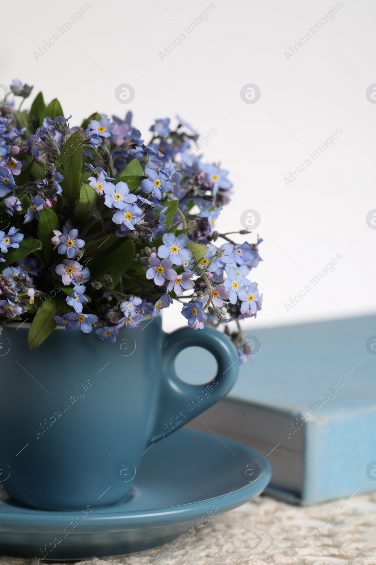 Photo of Beautiful forget-me-not flowers in cup, book and crochet tablecloth on table against white background, closeup