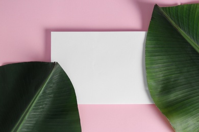 Photo of Flat lay composition with green banana leaves and space for text on color background. Tropical foliage