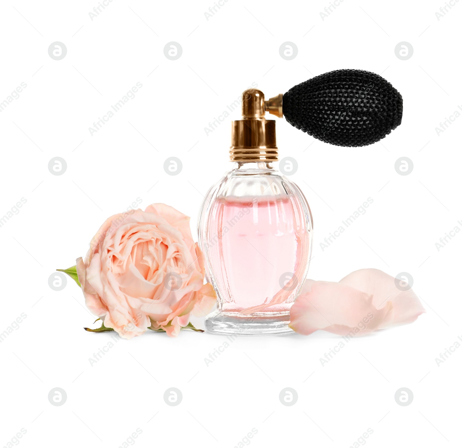 Photo of Bottle of luxury perfume and beautiful flower isolated on white