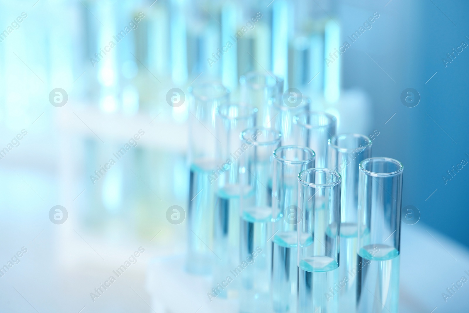 Photo of Rack with test tubes in laboratory, closeup. Chemical analysis