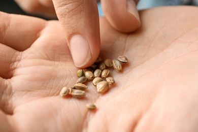 Photo of Woman holding raw organic hemp seeds, closeup