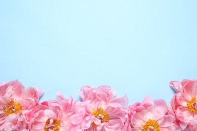 Photo of Beautiful pink peonies on light turquoise background, flat lay. Space for text