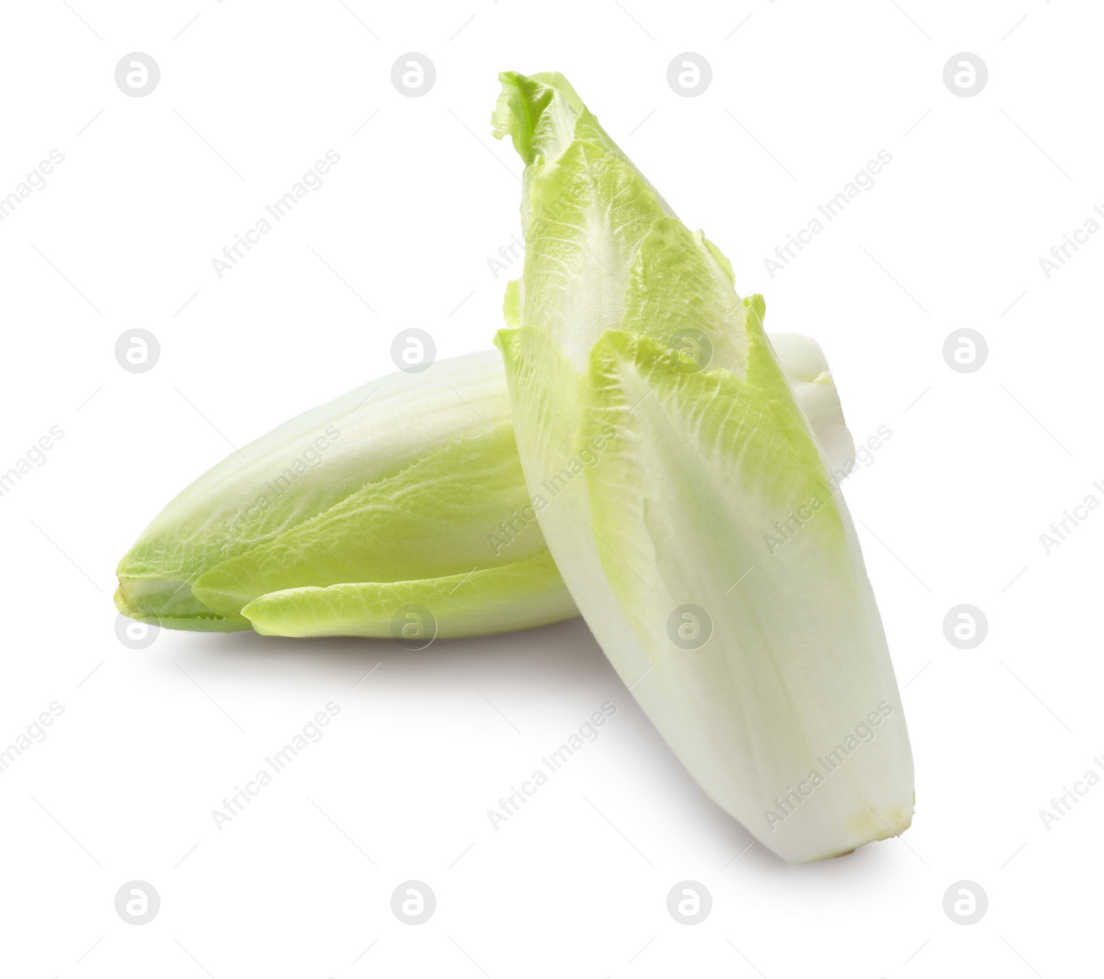 Photo of Raw ripe chicories on white background. Belgian endive