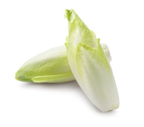 Photo of Raw ripe chicories on white background. Belgian endive