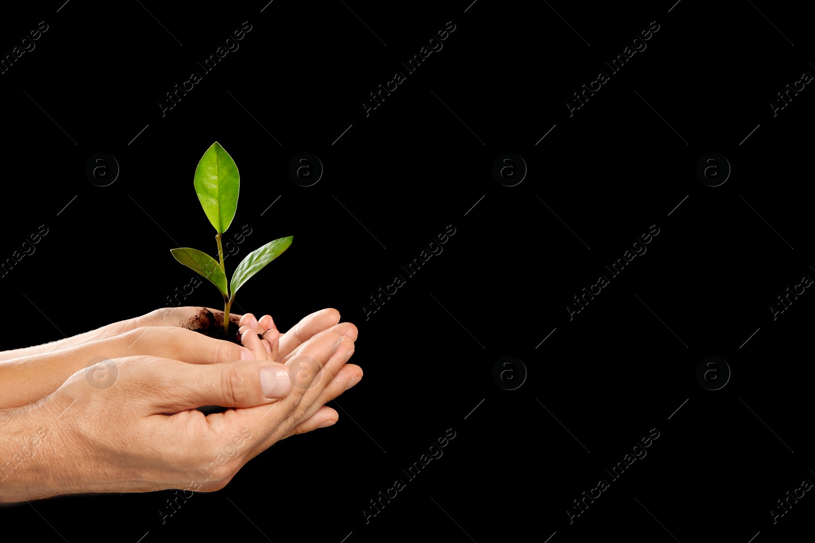 Photo of Man and his child holding soil with green plant in hands on black background. Family concept