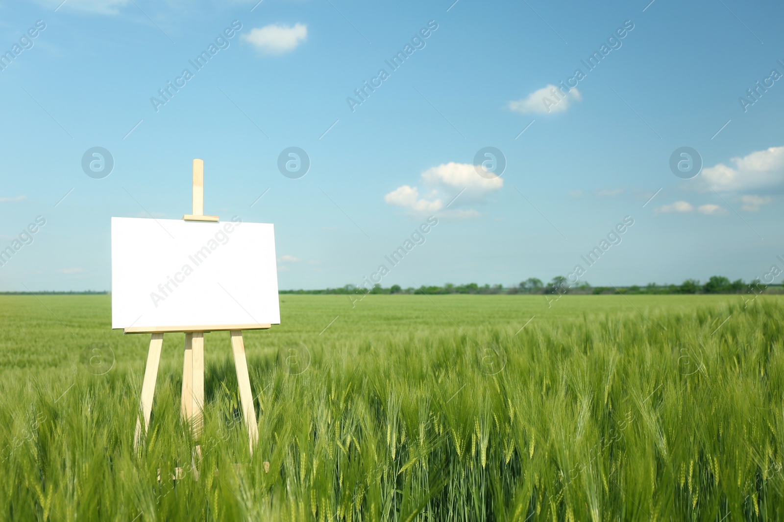 Photo of Wooden easel with blank canvas in picturesque green field on sunny day. Space for text