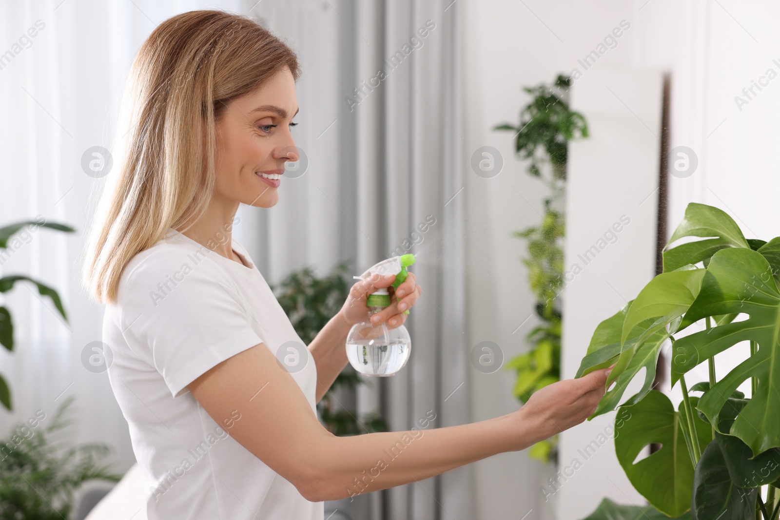 Photo of Woman spraying beautiful houseplants with water at home