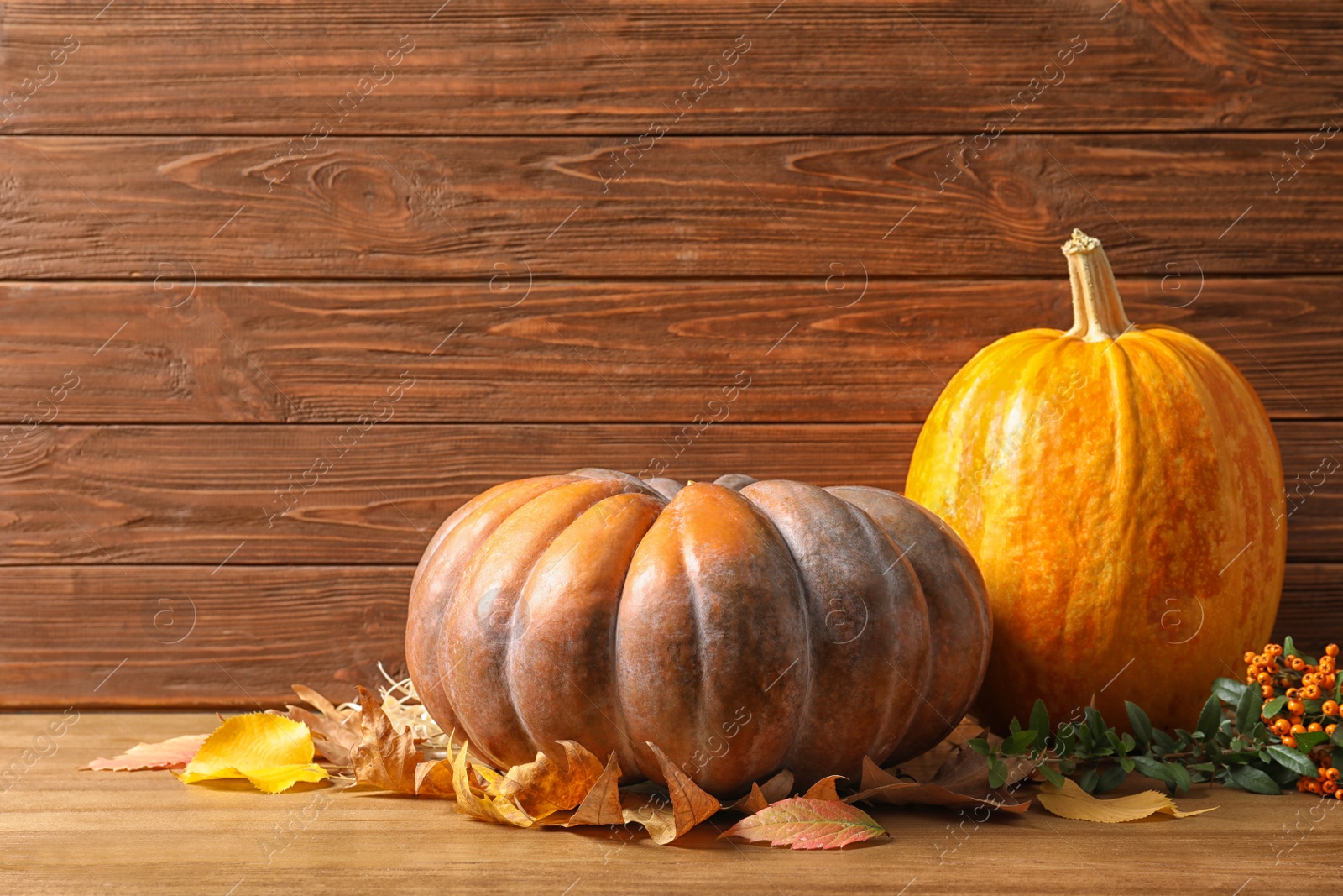 Photo of Orange pumpkins with space for text against wooden wall. Autumn holidays