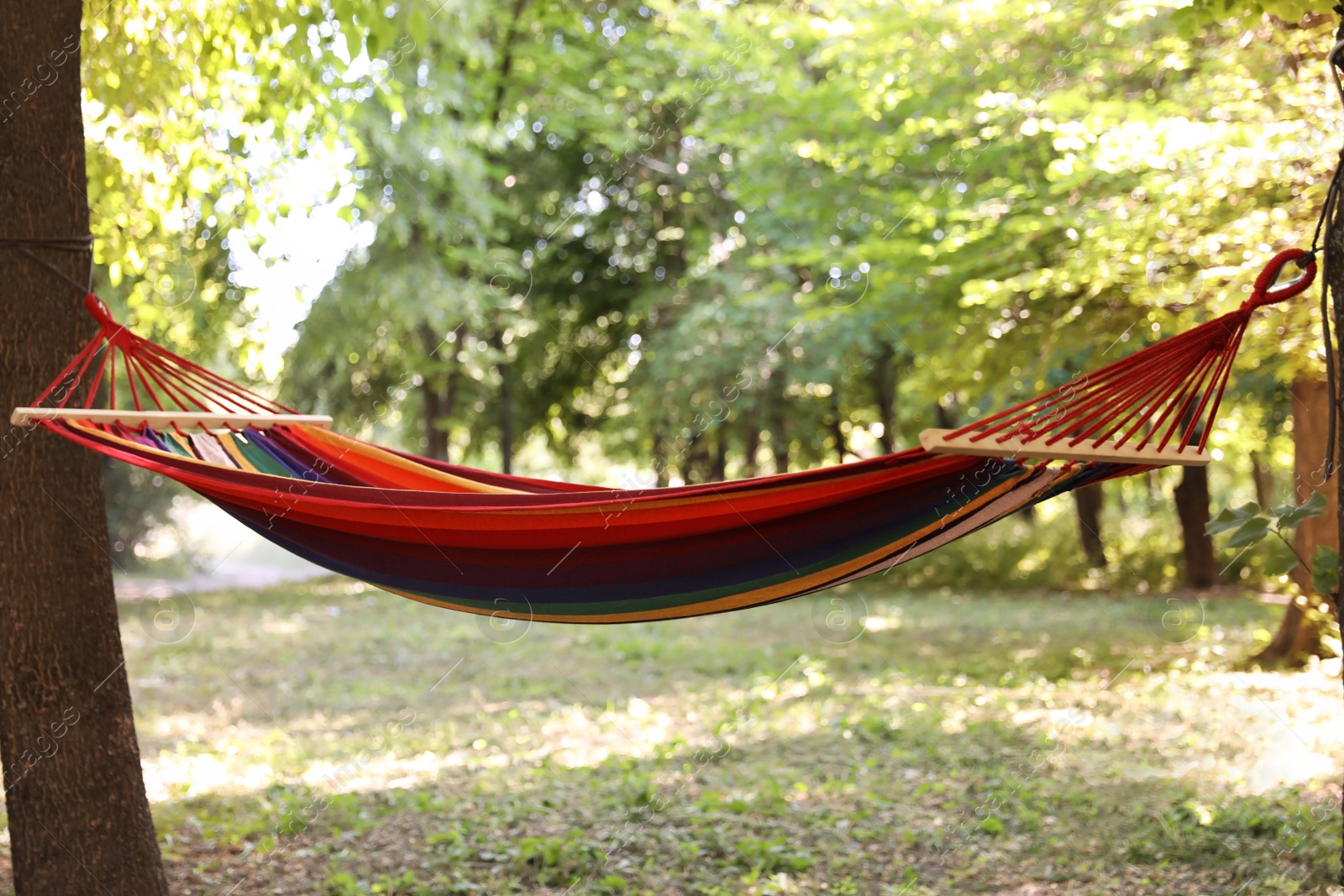 Photo of Empty hammock outdoors on sunny day. Summer camp