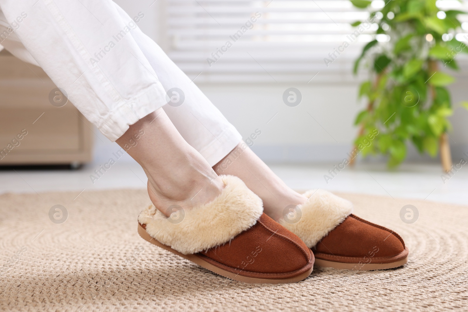 Photo of Woman in soft slippers at home, closeup