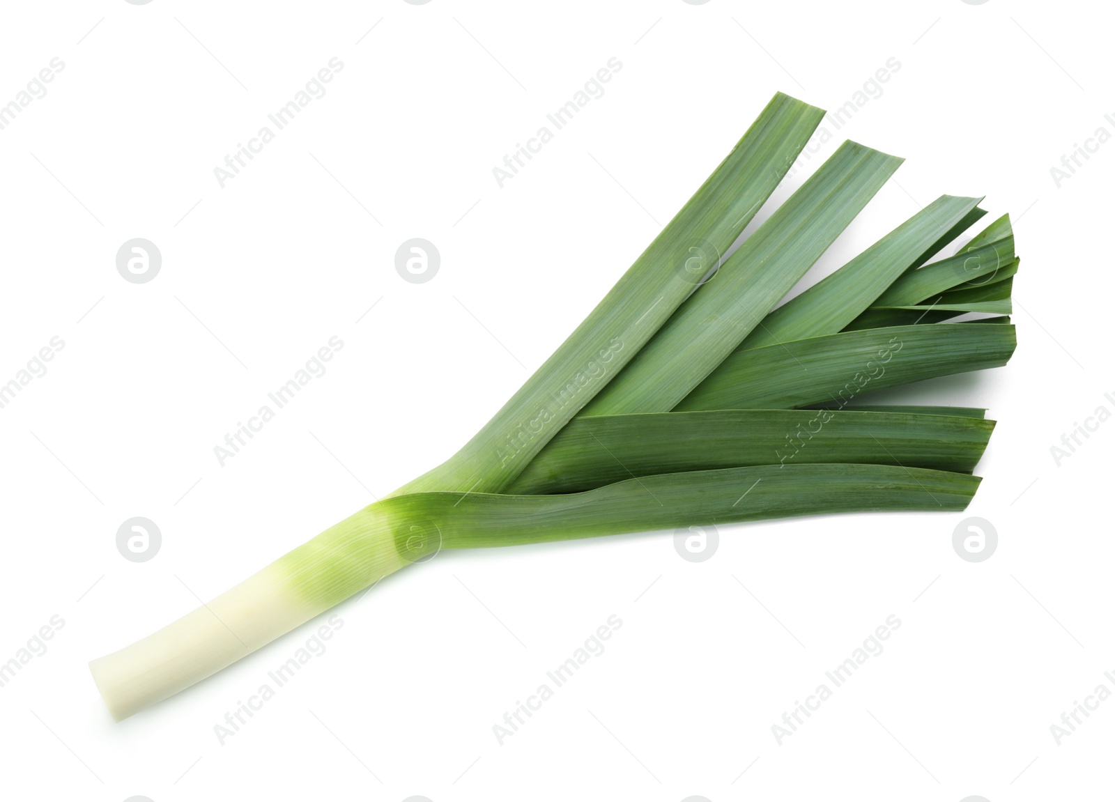 Photo of Fresh raw leek isolated on white, top view