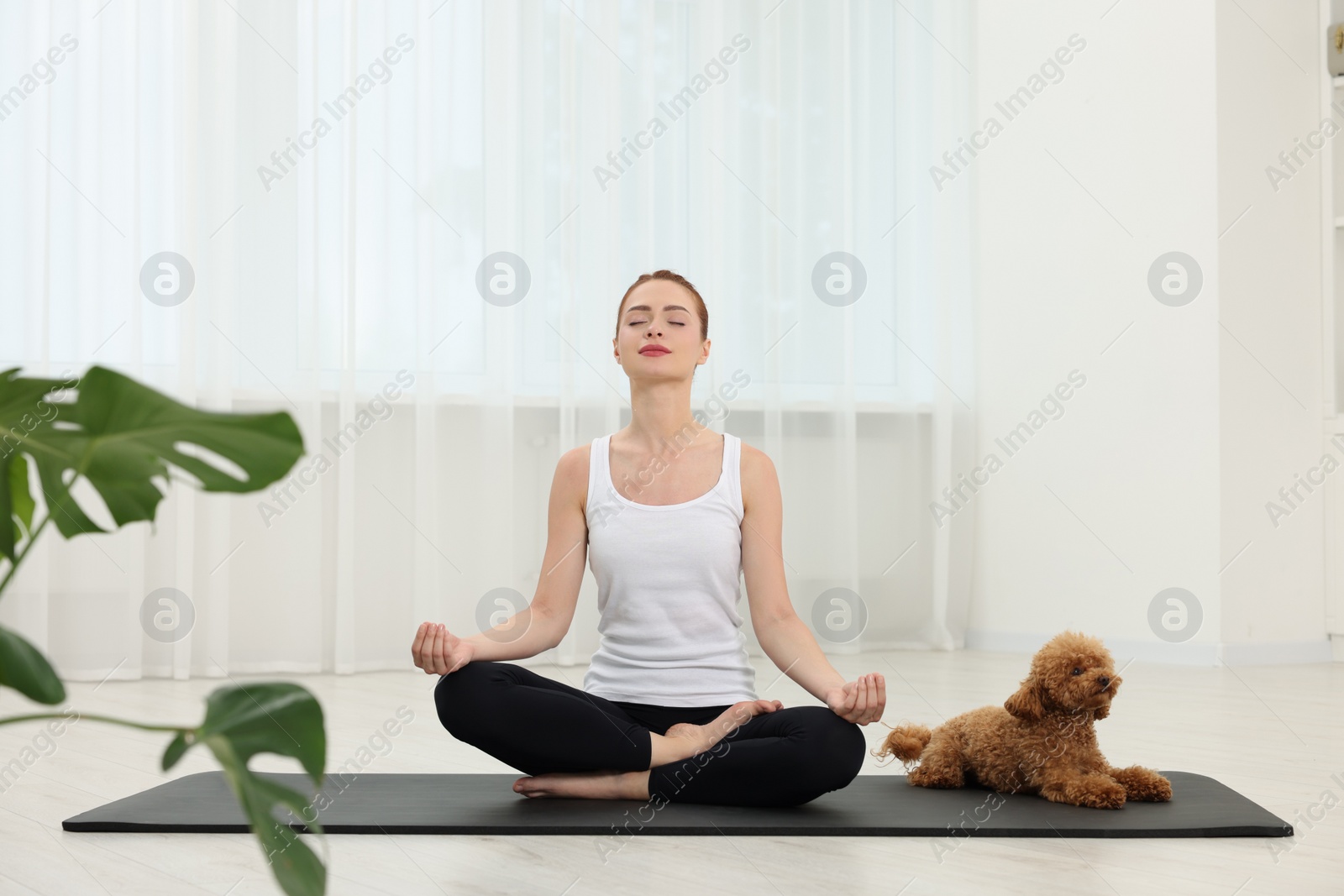 Photo of Young woman practicing yoga on mat with her cute dog indoors