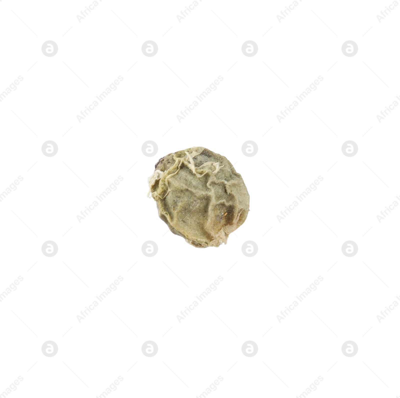 Photo of One peppercorn isolated on white. Spicy condiment