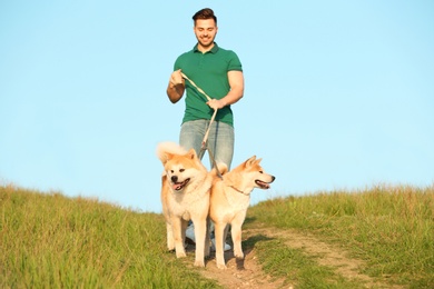 Young man walking his adorable Akita Inu dogs outdoors