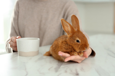 Photo of Young woman with cup of coffee and adorable rabbit at table indoors, closeup. Lovely pet