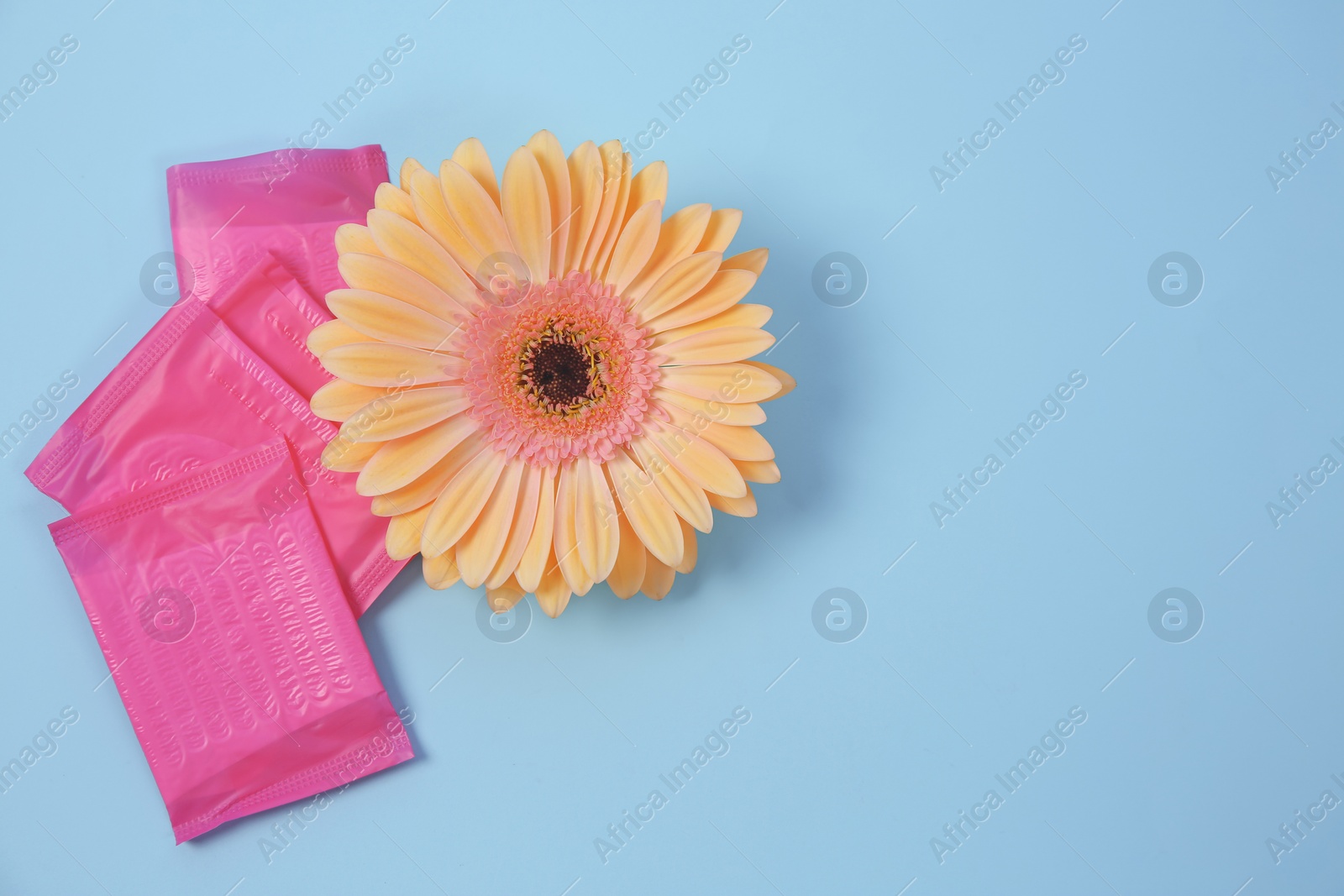 Photo of Flat lay composition with flower and menstrual pads on color background. Gynecological checkup