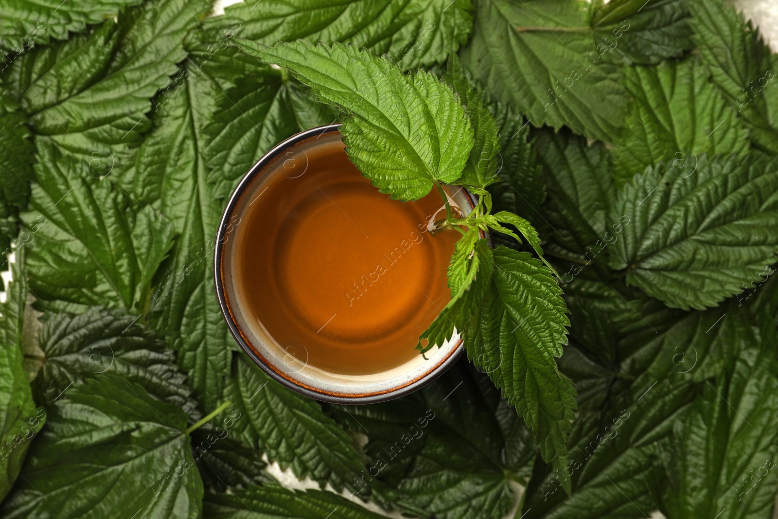 Photo of Cup of aromatic nettle tea on fresh green leaves, top view