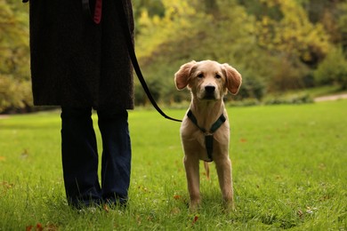 Photo of Woman with adorable Labrador Retriever puppy outdoors, closeup