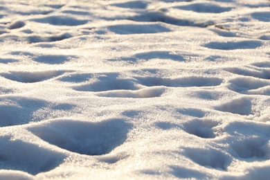 Photo of Beautiful snow outdoors on sunny day. Winter weather