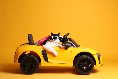 Photo of Funny cat with sunglasses in toy car on yellow background