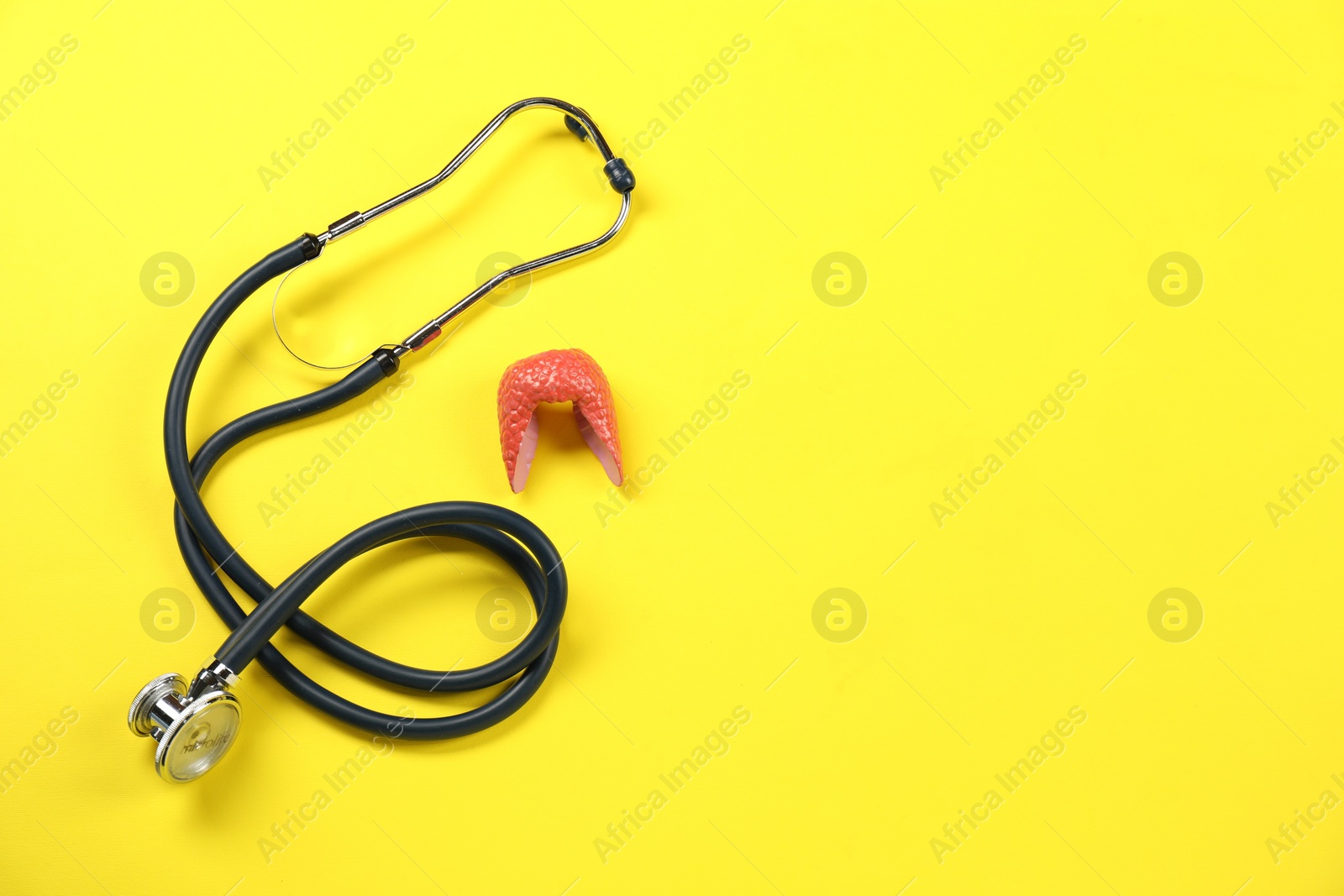 Photo of Endocrinology. Stethoscope and model of thyroid gland on yellow background, above view. Space for text