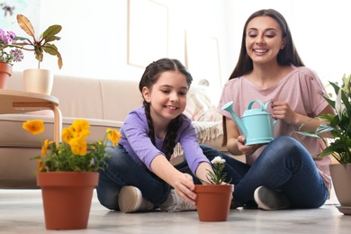 Mother and daughter taking care of potted plants on floor at home