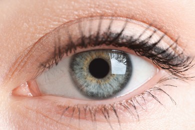 Photo of Macro photo of woman with beautiful eyes