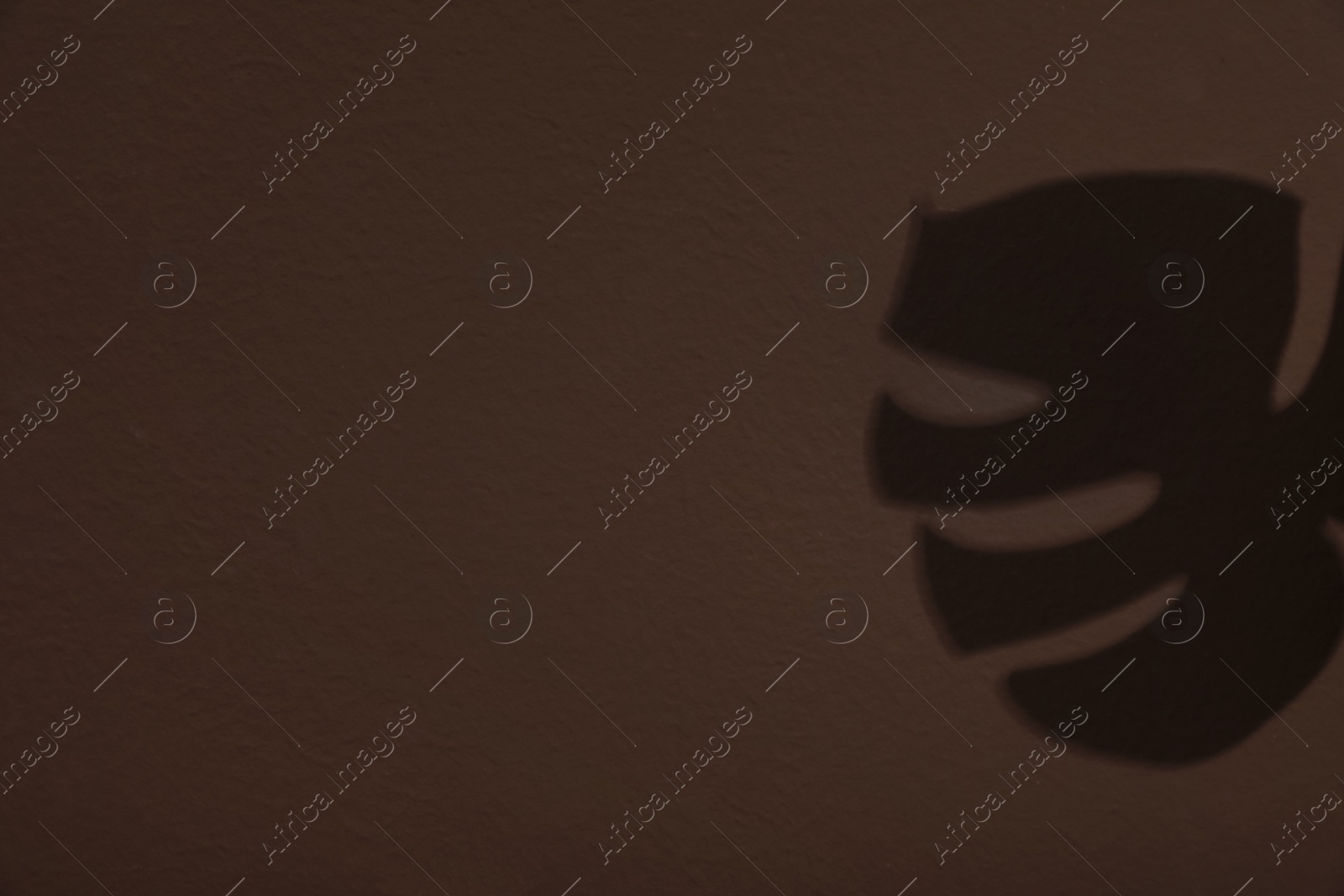 Photo of Shadow of monstera leaf on brown wall. Space for text