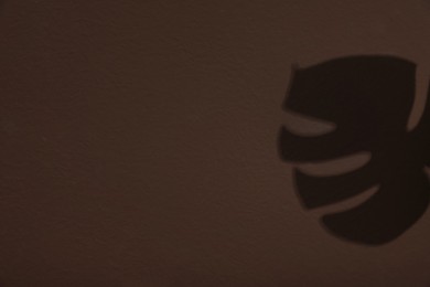 Photo of Shadow of monstera leaf on brown wall. Space for text