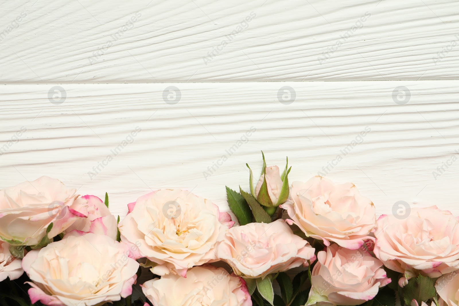 Photo of Happy Mother's Day. Beautiful roses on white wooden table, flat lay. Space for text