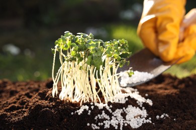 Photo of Man fertilizing soil with growing young microgreens outdoors, selective focus