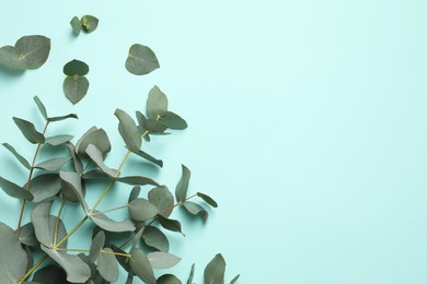 Photo of Eucalyptus branch with fresh green leaves on turquoise background, flat lay. Space for text