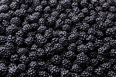 Photo of Many tasty ripe blackberries as background, closeup