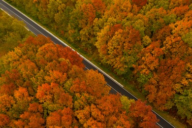 Image of Aerial view of road going through beautiful autumn forest