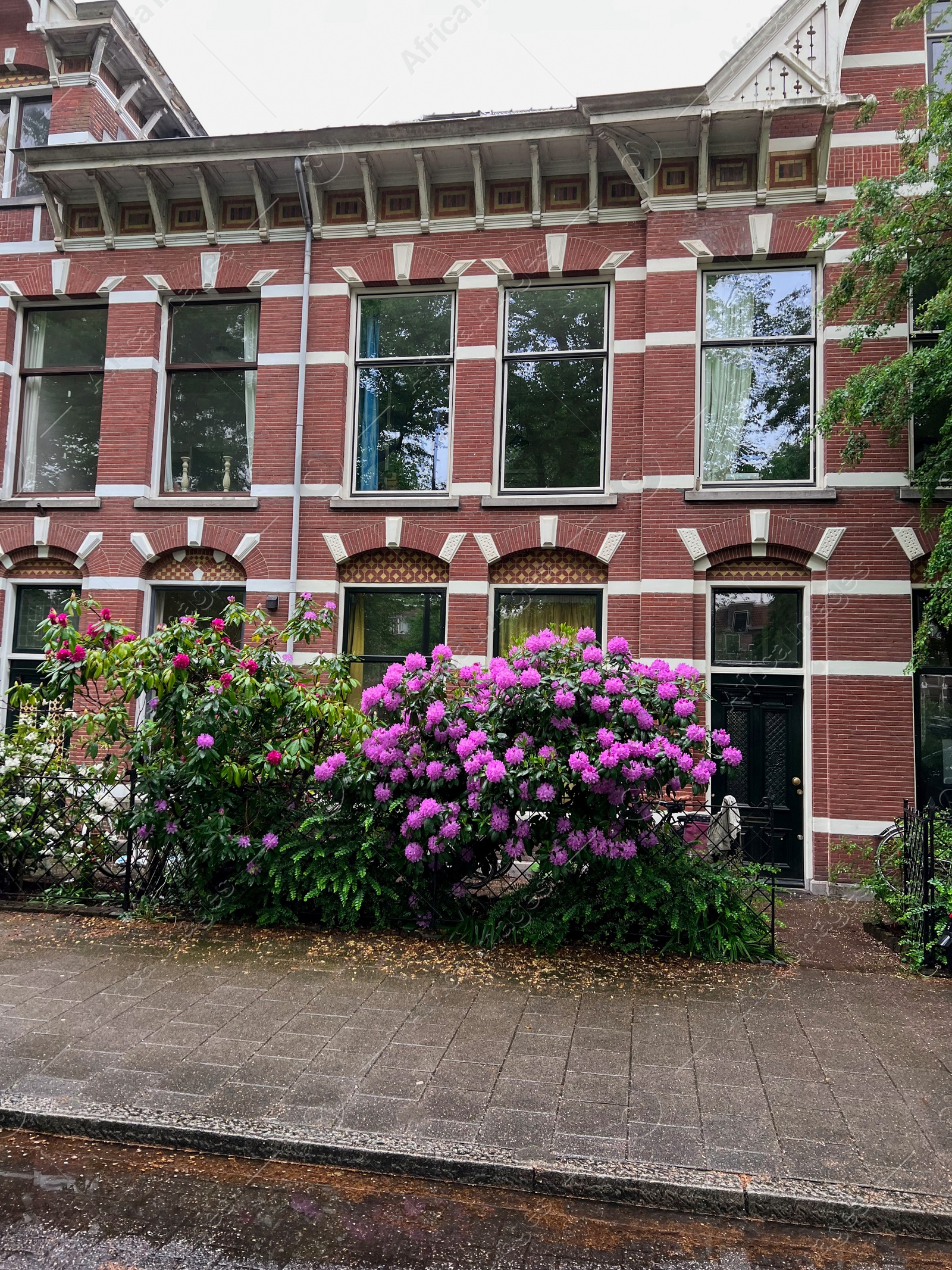 Photo of Modern residential building with beautiful blooming flowers on city street