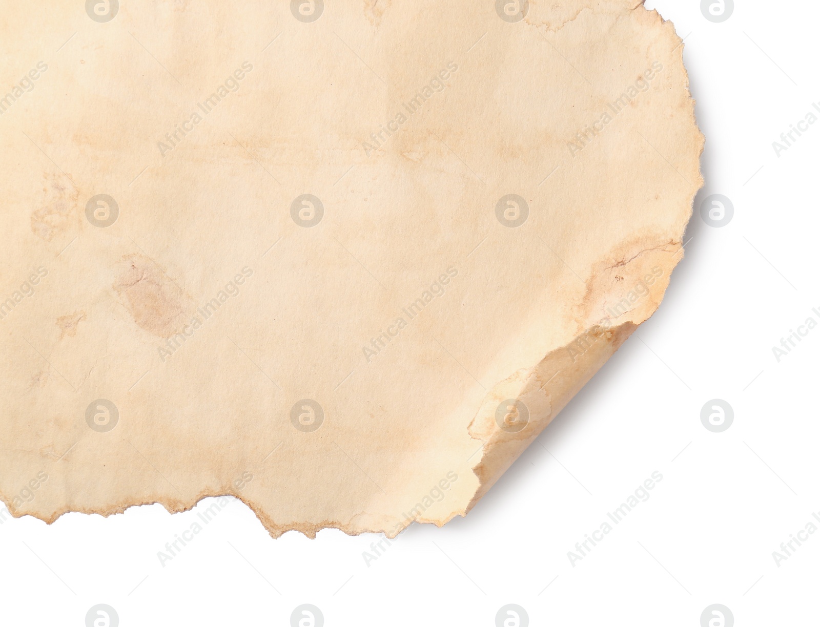 Photo of Sheet of old parchment paper on white background, top view. Space for text