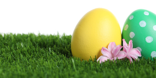 Photo of Colorful Easter eggs and flowers on green grass against white background, closeup