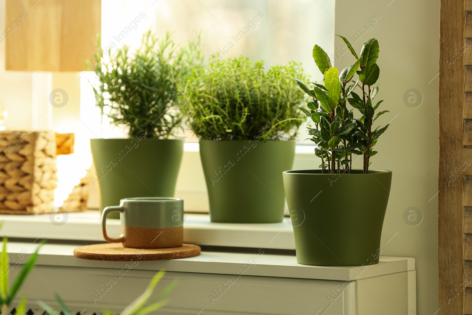 Photo of Different aromatic potted herbs on windowsill indoors