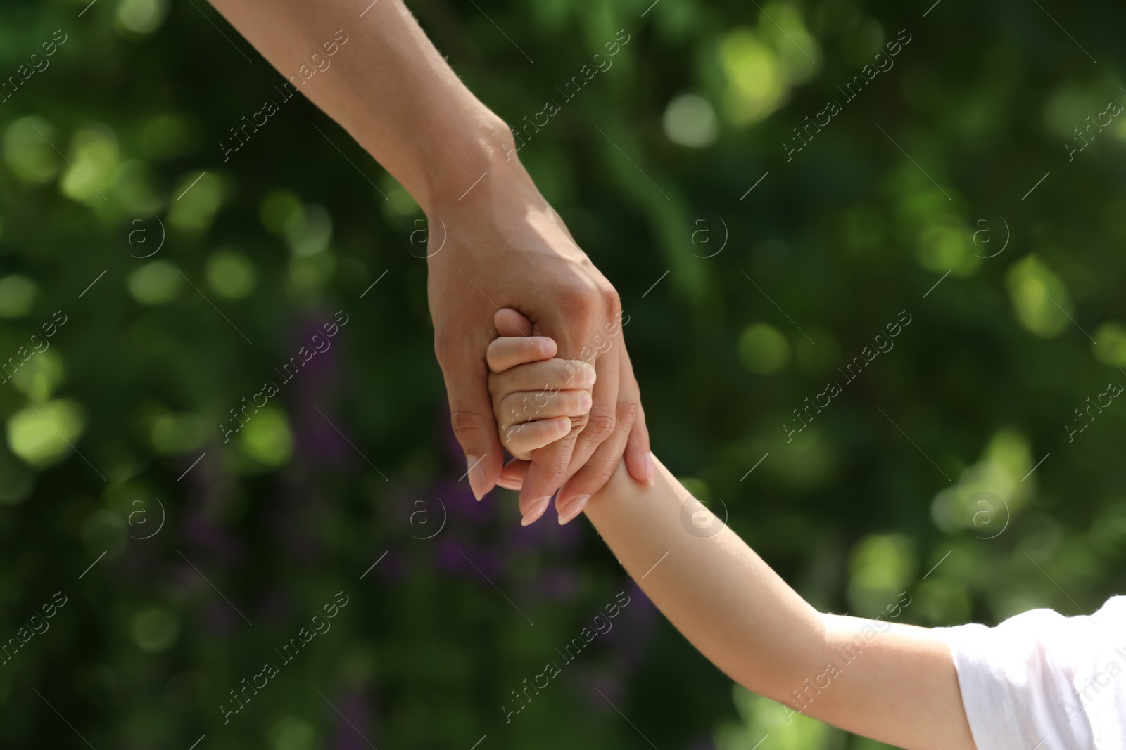 Photo of Mom and her child holding hands in park, closeup