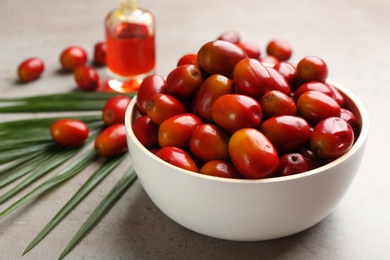 Photo of Palm oil fruits in bowl on grey table, closeup