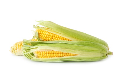 Photo of Ripe raw corn cobs with husk on white background