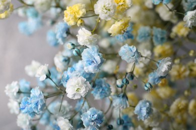 Photo of Many beautiful dyed gypsophila flowers on light grey background, closeup