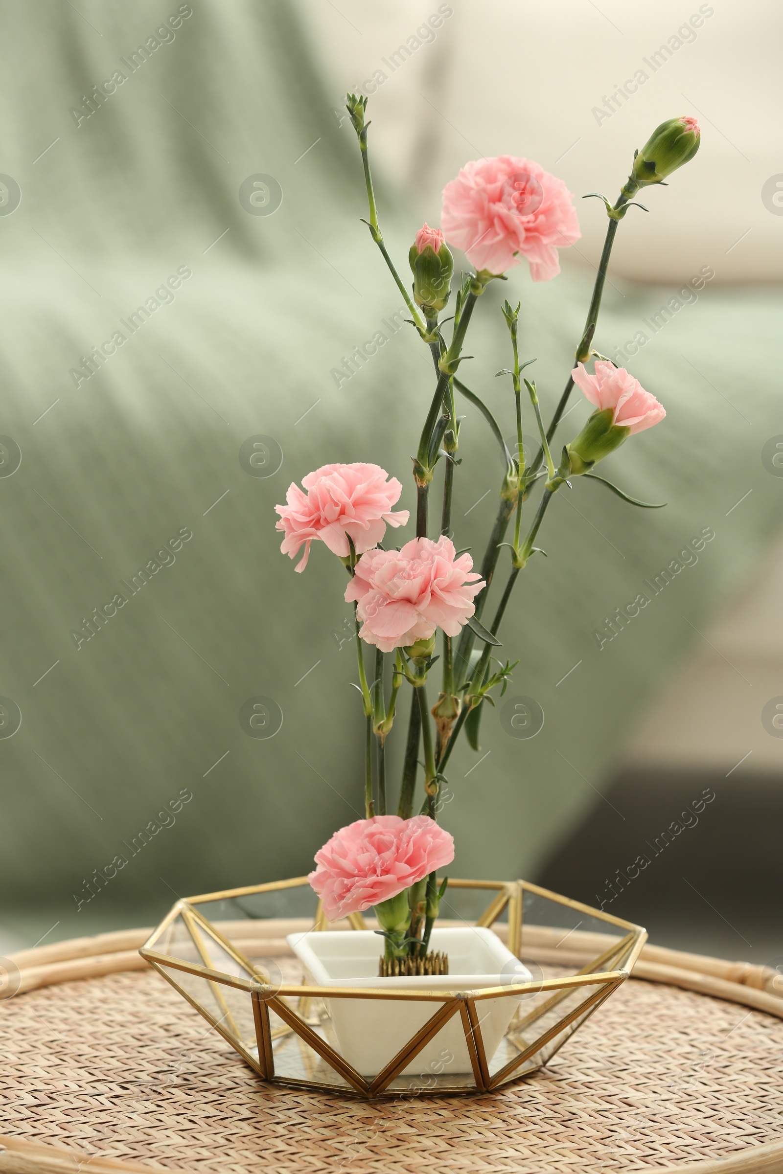 Photo of Ikebana art. Beautiful pink carnation flowers carrying cozy atmosphere at home