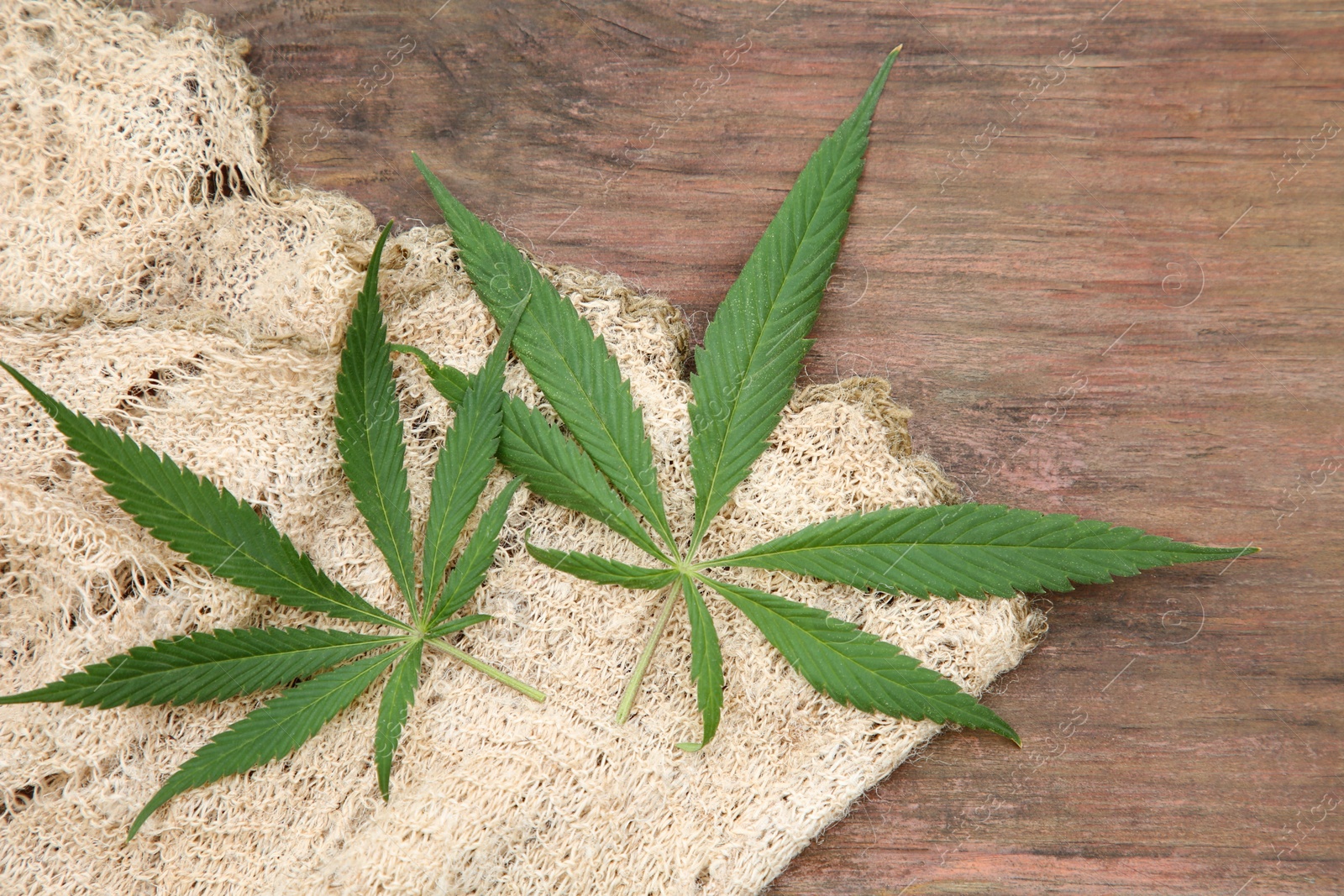 Photo of Hemp cloth and green leaves on wooden table, top view