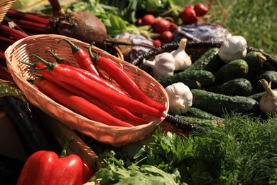 Photo of Different fresh ripe vegetables outdoors on sunny day, closeup
