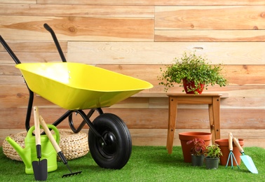 Wheelbarrow with gardening tools and plants near wooden wall