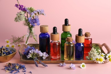 Aromatherapy. Different essential oils and flowers on pink background